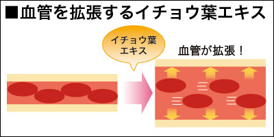 イチョウ葉エキスとは